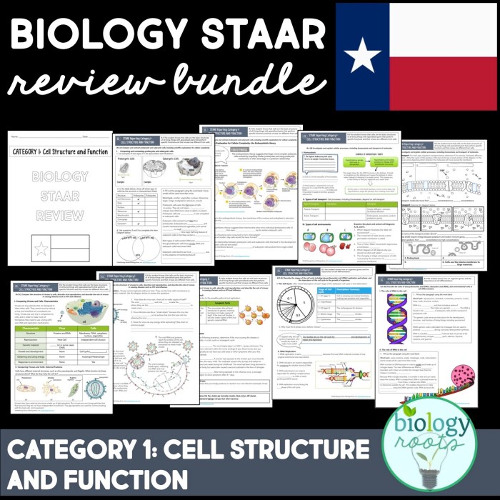 Staar blitz day 1 answer key