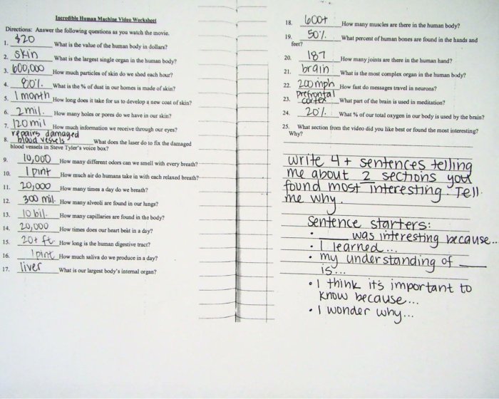 Incredible human machine video worksheet