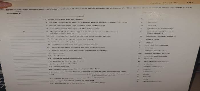 Match the bone names and markings in column b