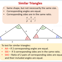 Lesson 2 find the area of triangles and other polygons