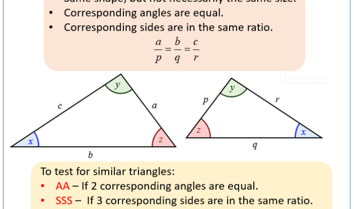 Lesson 2 find the area of triangles and other polygons